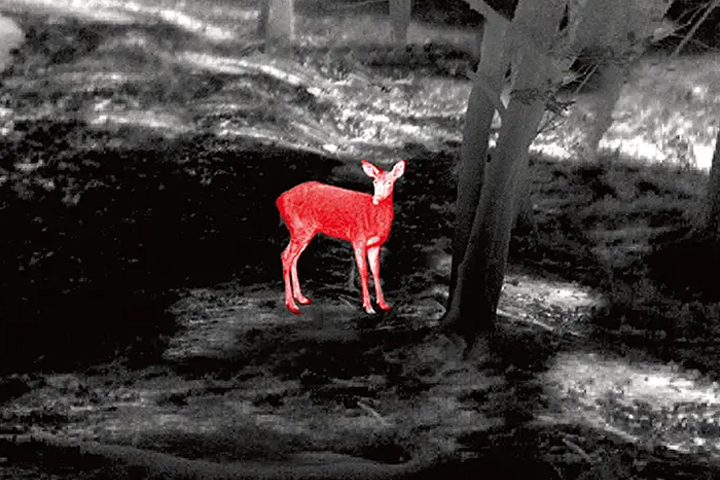 CGCM64015LAСͻӹ640о